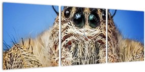 A pók részletének képe (órával) (90x30 cm)