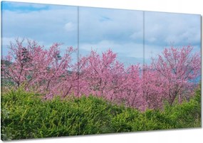 Vászonkép 120x80 Virágzó cseresznye