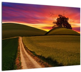 Mező és a színes ég képe (70x50 cm)