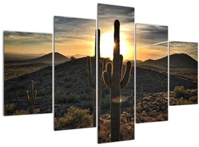 Kép - kaktuszok a napon (150x105 cm)