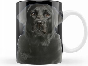 Labrador Kutyás Bögre Kutya születésnapi ajándék 330 ml