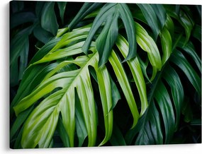 Kép - trópusi levelek (70x50 cm)