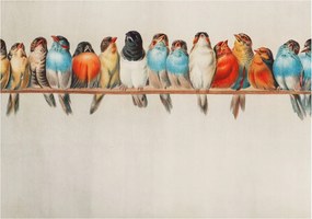 Fotótapéta Flizelin Dekoratív tapéta Madarak az ágon 312x219 Ragasztó