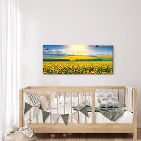 Kép - Napraforgó mező (120x50 cm)