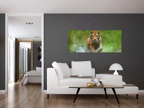 Kép - Futó tigris (120x50 cm)