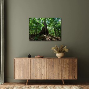 Kép - A fa gyökerei (70x50 cm)
