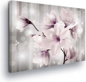 Vászonkép 80x60 Finomság tavasz virágzás magnólia nyugalom harmónia bokeh