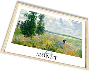 4262AHSMONET-021