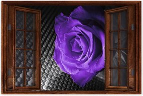 Poszter 60x40 Lila rózsa