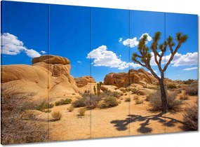 Vászonkép 100x70 Kaktusz a sivatagban