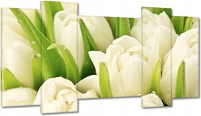 Vászonkép 120x65 Finom tulipánok