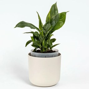 Plastia öntözőedény Tolita Air krém, átmérő 19 cm, 19 cm átmérőjű