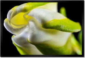 Poszterek keretben 60x40 Nőnap Ajándék Love