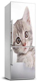 Hűtőre ragasztható matrica Szürke macska FridgeStick-70x190-f-80791907