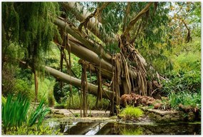 Poszterek 120x80 Tájkép Látvány