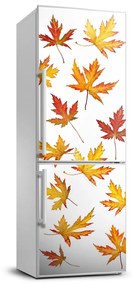 Matrica hűtőre Őszi levelek FridgeStick-70x190-f-45893425