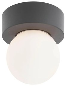 Redo 90641 - Kültéri mennyezeti lámpa BULK 1xE27/28W/230V IP44 antracit