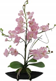 Orchidea elrendezés virágcserepekkel, rózsaszín, 60 cm.