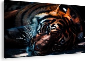 Egy fekvő tigris képe (90x60 cm)