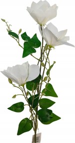 Magnólia ág x3 gumírozott fehér (sp)