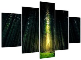 Sötét erdő képe (150x105 cm)