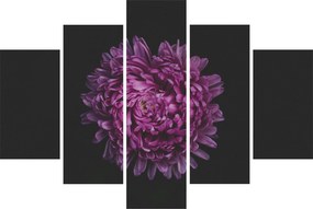 Lila virág képe (150x105 cm)