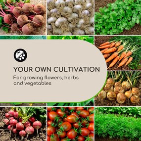 High Grow Advanced, magaságyás tetővel, 120 x 95 x 100 cm, 540 l, acél, antracit