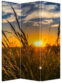 Paraván - Mező naplementekor (126x170 cm)