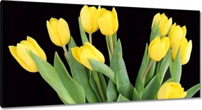 Vászonkép 115x55 Sárga tulipánok