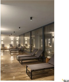 SLV 229535 THEO Modern Kültéri Fali Lámpa Antracit GU10 IP44