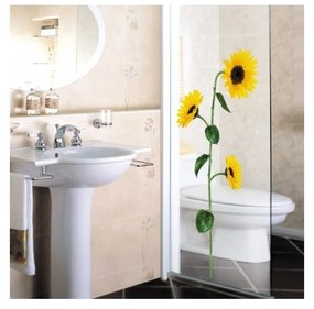 Sun Flowers falmatrica - Ambiance