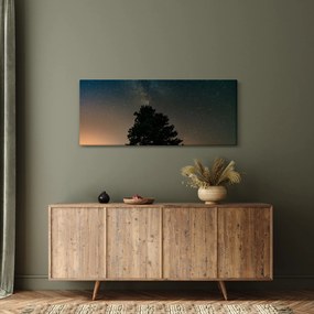 Egy éjszakai égbolt fákkal képe (120x50 cm)