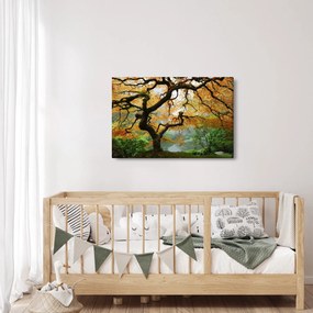 Egy sárga japán juhar képe, Portland, Oregon (90x60 cm)