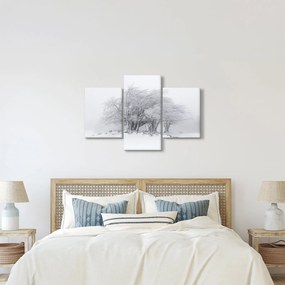 Kép - fehér tél (90x60 cm)