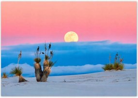 Poszterek 100x70 Kilátás Tájkép