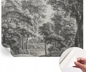 Fotótapéta Fali tapéta Hálószobába és Nappaliba Erdei táj 208x146 cm