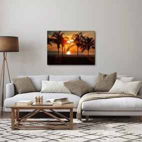 Pálmafa a naplementében képe (70x50 cm)