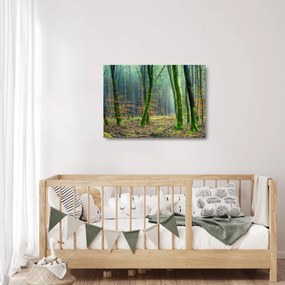 Az erdő képe (üvegen) (70x50 cm)