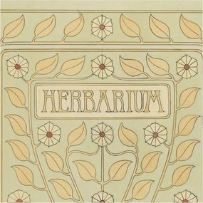 Divatos Flizelin Tapéta Fali Furnér Növényi dísz 250x250 Ragasztó