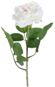 Művirág (magasság 43 cm) Rose – Ixia