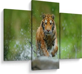 Kép - Futó tigris (90x60 cm)
