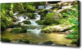 Canvas falikép Vízesés 100x70 cm