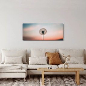 Kép - Foglak, pitypang (120x50 cm)