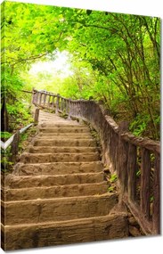 Vászonkép 80x120 Lépcsők az erdőbe