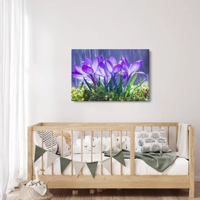 Virágok az esőben képe (90x60 cm)