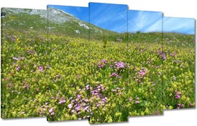 Festmények 100x60 Alpesi rét