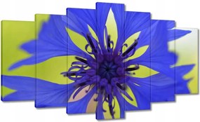 Festmények 140x80 Chaber