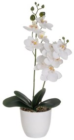 Művirág (magasság 39 cm) Orchid – Casa Selección