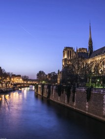 Poszter 30x40cm Notre-Dame de Paris éjszaka 2, Assaf Frank