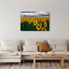 Napraforgó mező képe (90x60 cm)